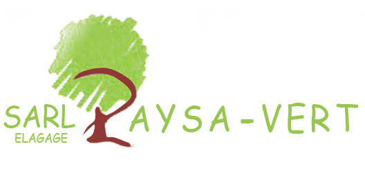 Logo Paysa-Vert